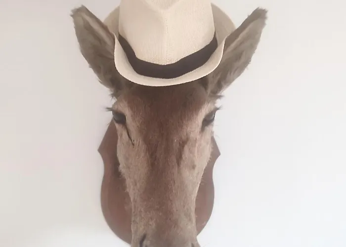 Apartment Exceptionnel Bastide St Louis